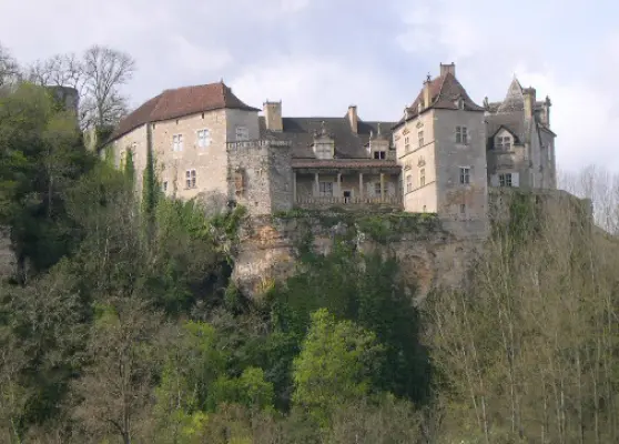 Chateau de Cenevieres à Cénevières